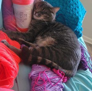 Meet your Posher, Sharon